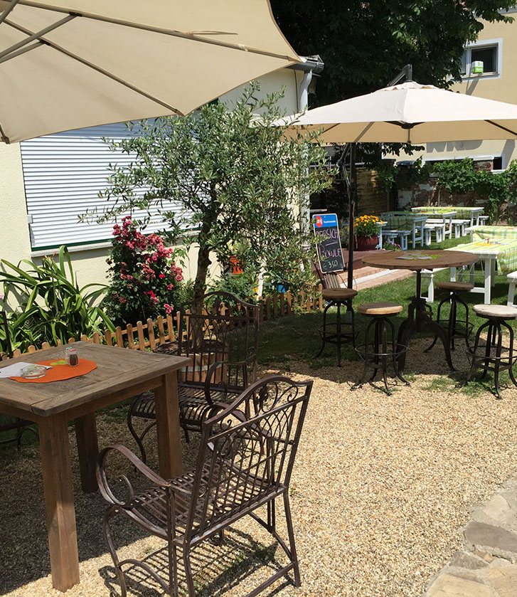 Im Garten beim Olivenbäumchen