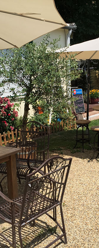 Im Garten beim Olivenbäumchen